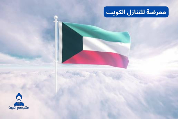 نيرس للاطفال الكويت